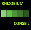 Rhizobium conseil Rhizobium conseil